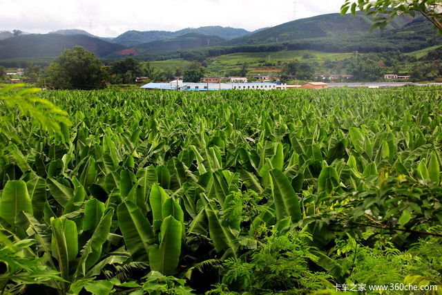 ������;�������� ���Ϸ�����޺�