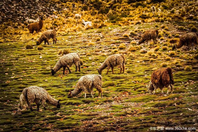 ӵ�����羰  ������վ�����Žд￦��